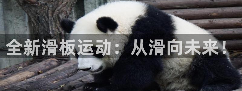 哈哈体育娱乐代理怎么样:全新滑板运动:从滑向未来!