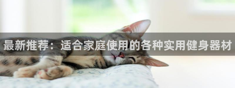 哈哈体育集团E.ON:最新推荐:适合家庭使用的各种实用健身器