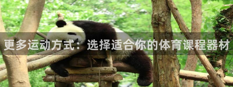 哈哈体育集团简介:更多运动方式:选择适合你的体育课程器材