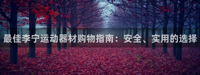 哈哈体育新能源:最佳李宁运动器材购物指南:安全、实用的选择